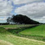 Raad van State wil meer bescherming Beemster Werelderfgoed